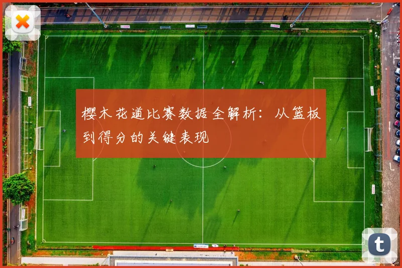 樱木花道比赛数据全解析：从篮板到得分的关键表现