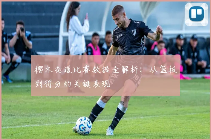 樱木花道比赛数据全解析：从篮板到得分的关键表现